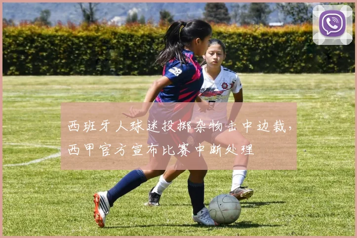 西班牙人球迷投掷杂物击中边裁，西甲官方宣布比赛中断处理